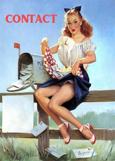 Pin up des année 50 au téléphone en jupe bleu